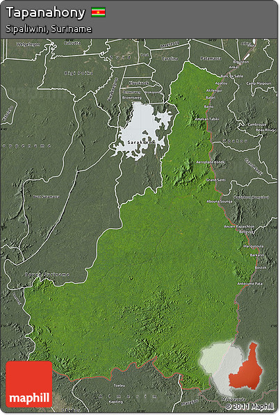 Satellite Map of Tapanahony, semi-desaturated