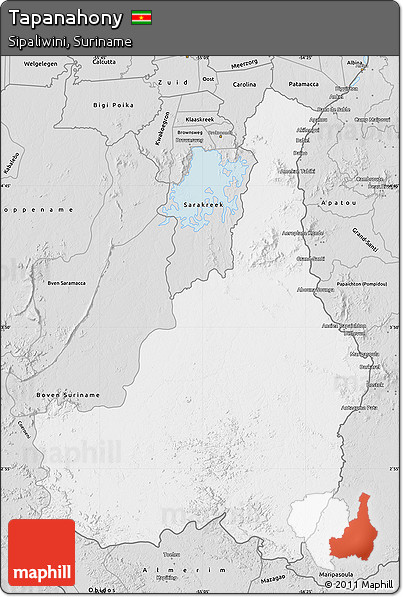 Silver Style Map of Tapanahony