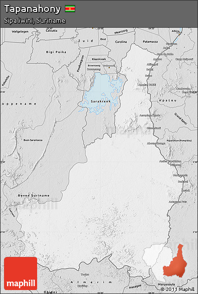 Silver Style Map of Tapanahony