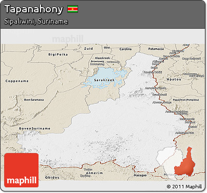 Classic Style Panoramic Map of Tapanahony