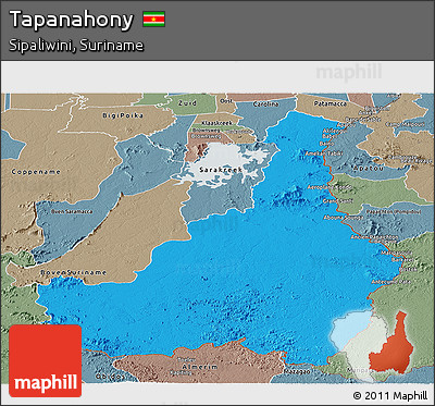 Political Panoramic Map of Tapanahony, semi-desaturated