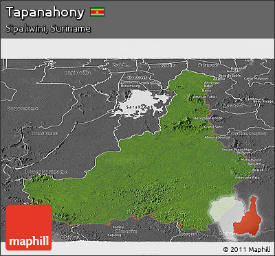 Satellite Panoramic Map of Tapanahony, desaturated
