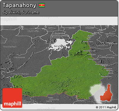 Satellite Panoramic Map of Tapanahony, desaturated