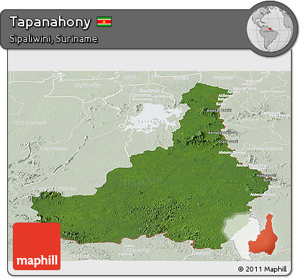 Satellite Panoramic Map of Tapanahony, lighten
