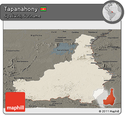 Shaded Relief Panoramic Map of Tapanahony, darken