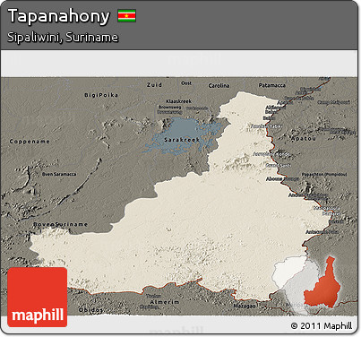 Shaded Relief Panoramic Map of Tapanahony, darken