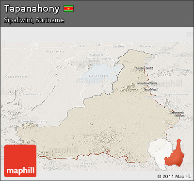 Shaded Relief Panoramic Map of Tapanahony, lighten