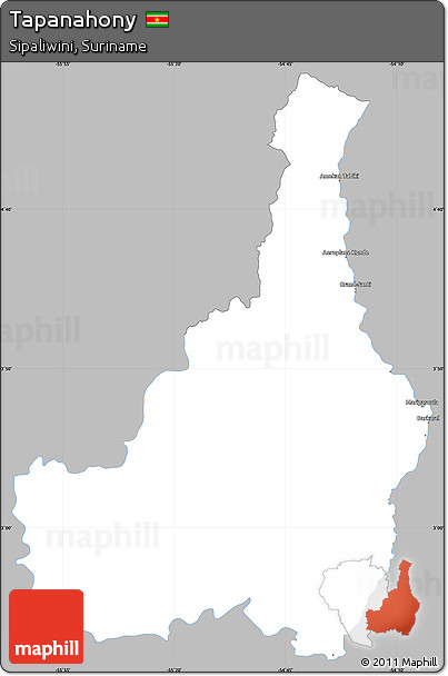 Gray Simple Map of Tapanahony, single color outside