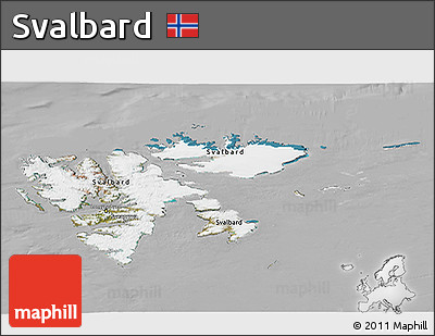 Satellite 3D Map of Svalbard, lighten, desaturated