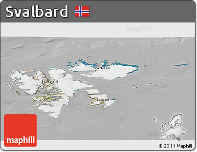 Satellite 3D Map of Svalbard, lighten, desaturated
