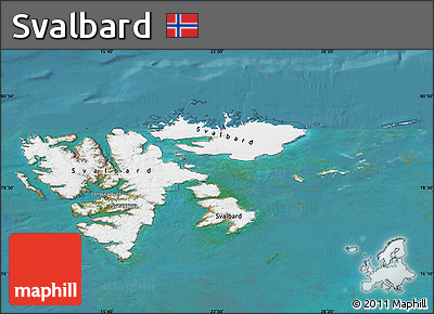 Satellite Map of Svalbard