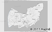 Gray 3D Map of Manzini, single color outside