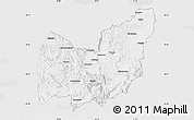 Silver Style Map of Manzini, single color outside
