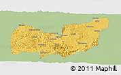 Savanna Style Panoramic Map of Manzini, single color outside
