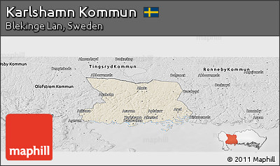 Shaded Relief Panoramic Map of Karlshamn Kommun, desaturated