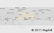 Shaded Relief Panoramic Map of Karlshamn Kommun, desaturated