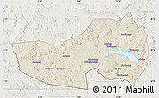 Shaded Relief Map of Ludvika Kommun, lighten