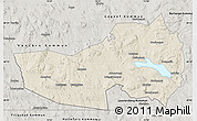 Shaded Relief Map of Ludvika Kommun, semi-desaturated