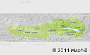 Physical Panoramic Map of Ludvika Kommun, lighten, desaturated