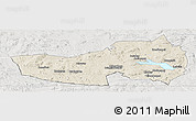 Shaded Relief Panoramic Map of Ludvika Kommun, lighten, semi-desaturated