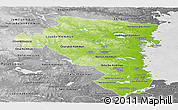 Physical Panoramic Map of Gávleborgs Län, desaturated