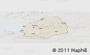 Shaded Relief Panoramic Map of Laholm Kommun, lighten, semi-desaturated