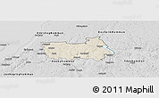 Shaded Relief Panoramic Map of Tranas Kommun, desaturated