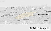 Shaded Relief Panoramic Map of Örkelljunga Kommun, desaturated