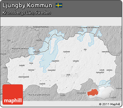 Gray 3D Map of Ljungby Kommun