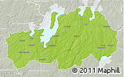 Physical 3D Map of Ljungby Kommun, lighten, semi-desaturated