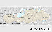 Shaded Relief Panoramic Map of Ljungby Kommun, desaturated