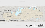 Shaded Relief Panoramic Map of Ljungby Kommun, semi-desaturated
