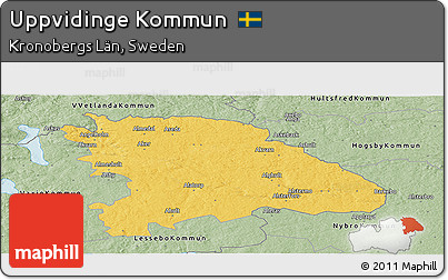 Savanna Style Panoramic Map of Uppvidinge Kommun