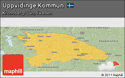 Savanna Style Panoramic Map of Uppvidinge Kommun