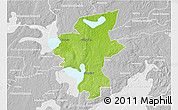 Physical 3D Map of Laxa Kommun, lighten, desaturated