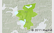 Physical 3D Map of Laxa Kommun, lighten, semi-desaturated