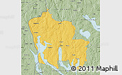 Savanna Style Map of Arjäng Kommun
