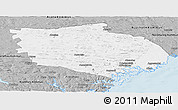 Gray Panoramic Map of Örnsköldsvik Kommun