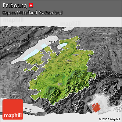 Satellite 3D Map of Fribourg, desaturated