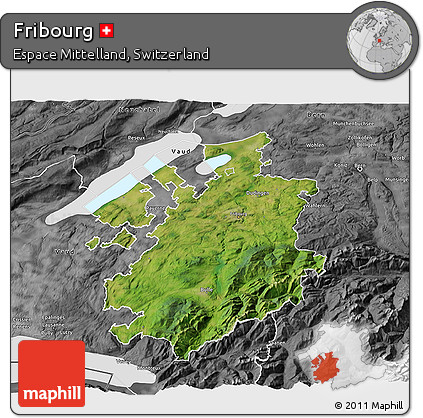 Satellite 3D Map of Fribourg, desaturated
