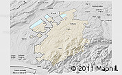 Shaded Relief 3D Map of Fribourg, desaturated