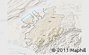 Shaded Relief 3D Map of Fribourg, lighten