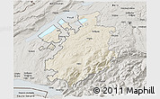 Shaded Relief 3D Map of Fribourg, semi-desaturated