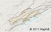 Shaded Relief 3D Map of Neuchâtel, lighten