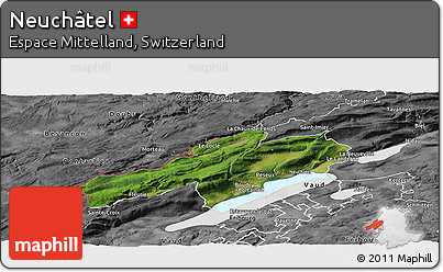 Satellite Panoramic Map of Neuchâtel, desaturated