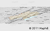 Shaded Relief Panoramic Map of Neuchâtel, desaturated