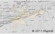 Shaded Relief 3D Map of Solothurn, desaturated