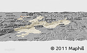 Shaded Relief Panoramic Map of Solothurn, darken, desaturated