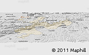 Shaded Relief Panoramic Map of Solothurn, desaturated