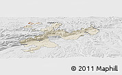 Shaded Relief Panoramic Map of Solothurn, lighten, desaturated